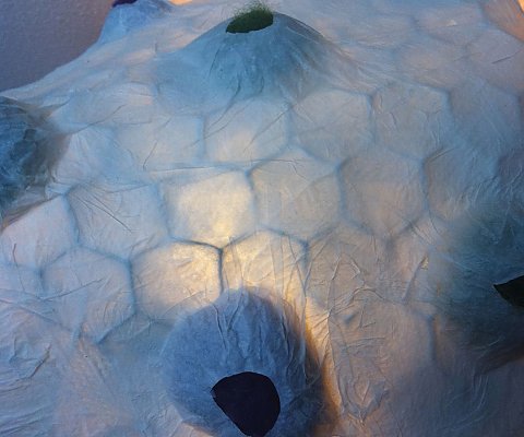 Kimana Sonja Gasser Kimana Sonja Gasser